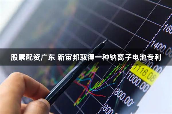 股票配资广东 新宙邦取得一种钠离子电池专利