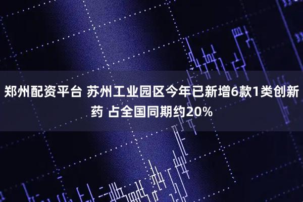 郑州配资平台 苏州工业园区今年已新增6款1类创新药 占全国同期约20%