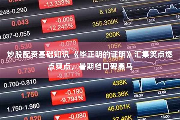 炒股配资基础知识 《毕正明的证明》汇集笑点燃点爽点，暑期档口碑黑马